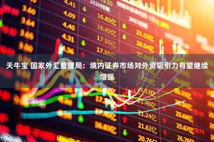 天牛宝 国家外汇管理局：境内证券市场对外资吸引力有望继续增强