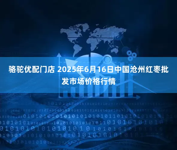 骆驼优配门店 2025年6月16日中国沧州红枣批发市场价格行情