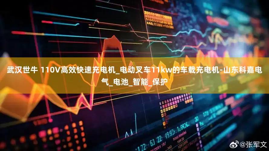 武汉世牛 110V高效快速充电机_电动叉车11kw的车载充电机-山东科嘉电气_电池_智能_保护