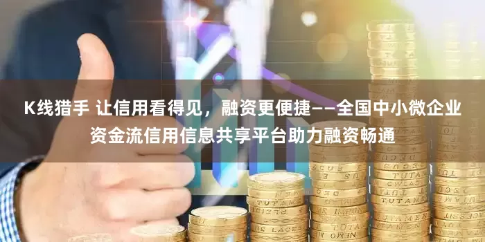 K线猎手 让信用看得见，融资更便捷——全国中小微企业资金流信用信息共享平台助力融资畅通